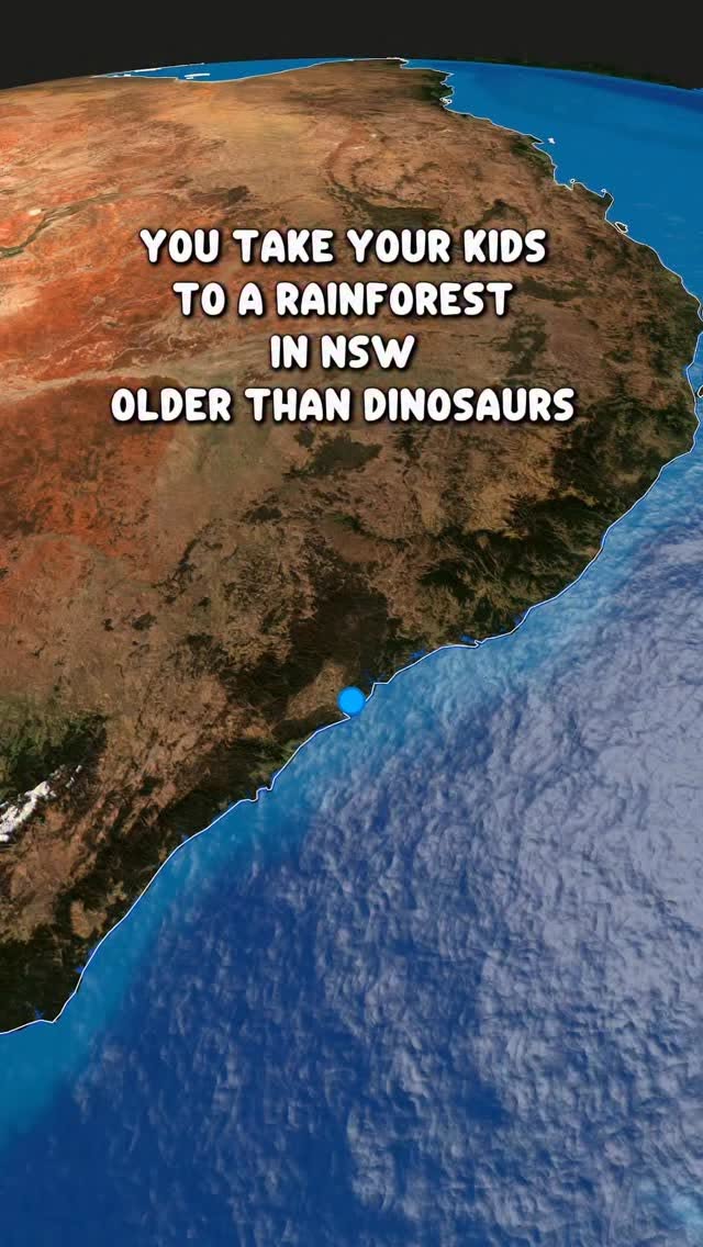 New South Wales Rainforests With Epic Waterfalls