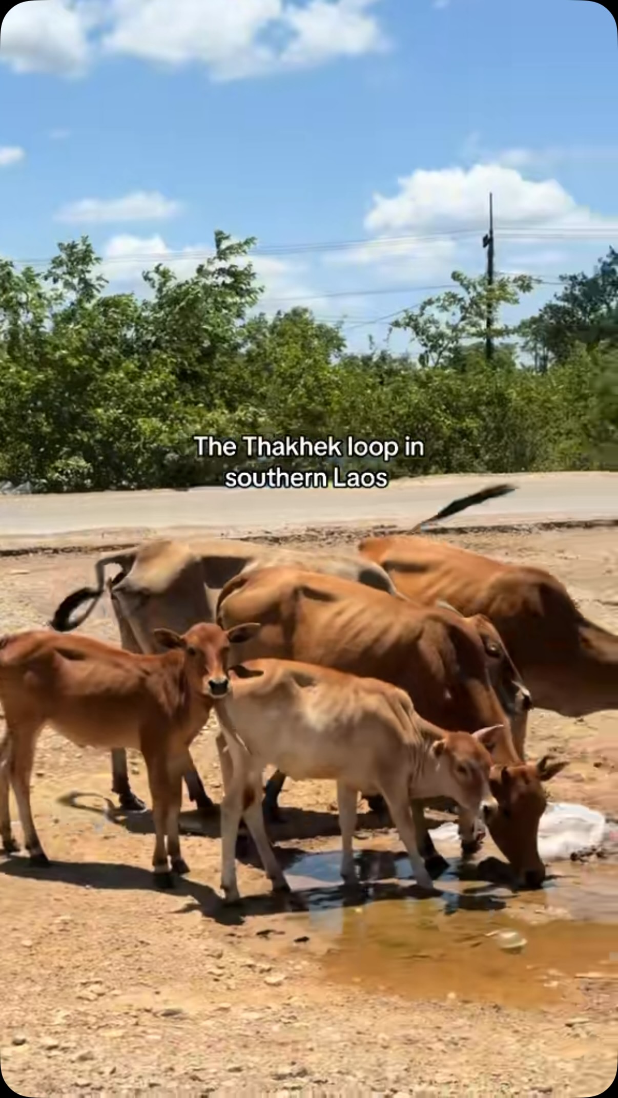 Thakhek Loop: Laotian Scenery and Cultural Immersion