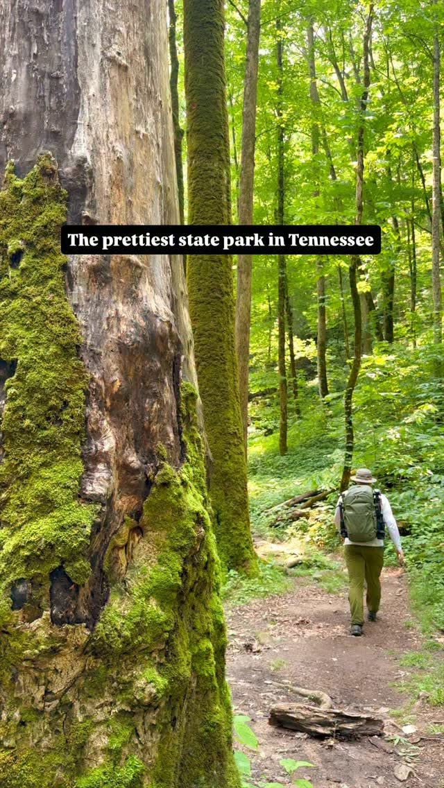 Scott's Gulf Wilderness State Park's Waterfalls and Trails