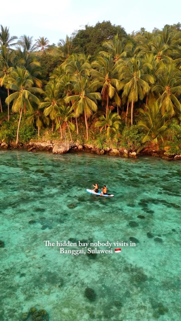 Coastal Mangroves and Clear Waters of Sulawesi