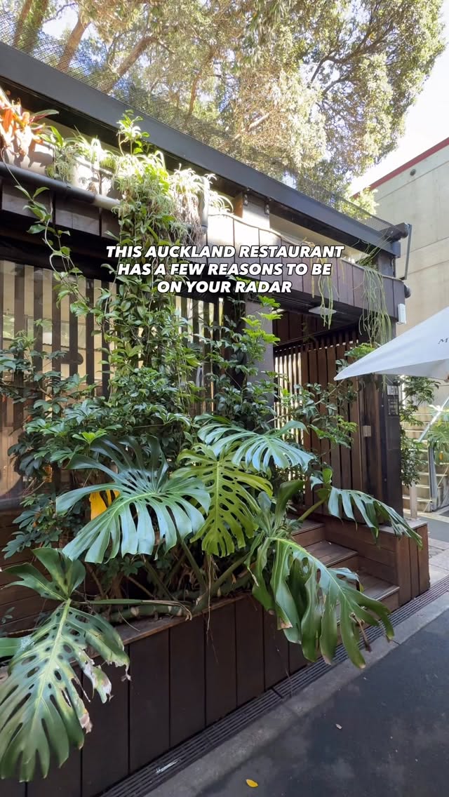 Milenta: Auckland's South American Open-Fire Gem