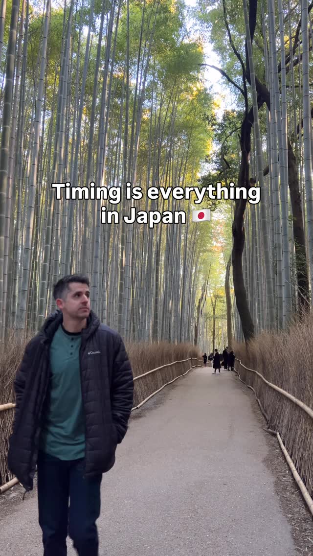 Kyoto's Crowded Hotspots: Timing Is Everything