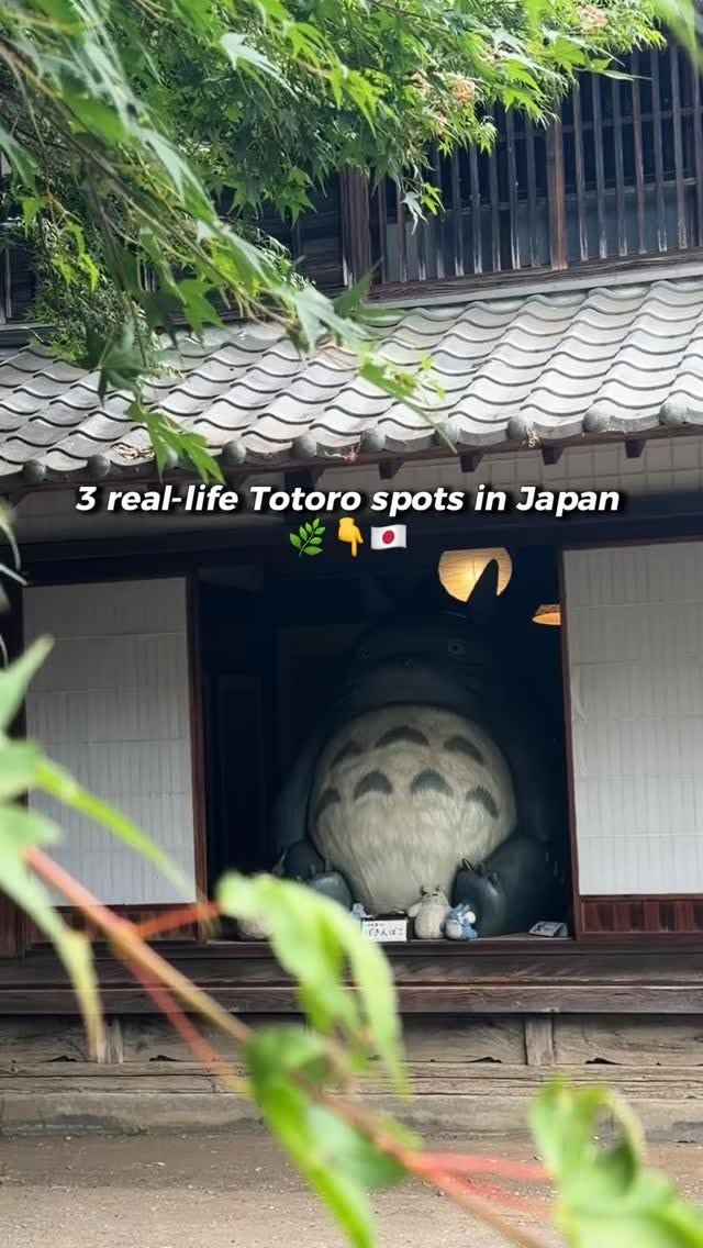 Real-Life Totoro Locations In Japan