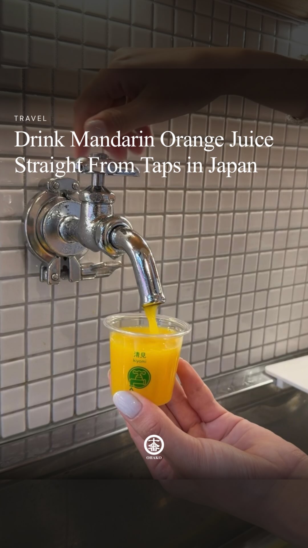 Ehime's Citrus Culture Taste Experience