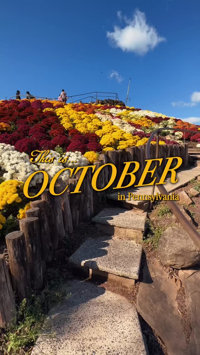 Pennsylvania Autumn Adventures and Family Farms