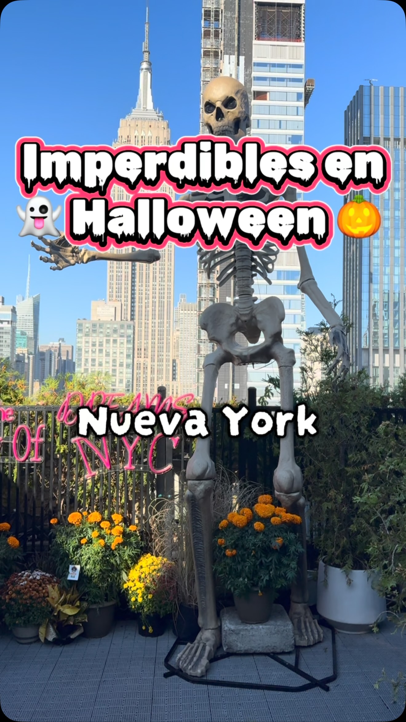 NYC Halloween Decorations & Rooftop Views
