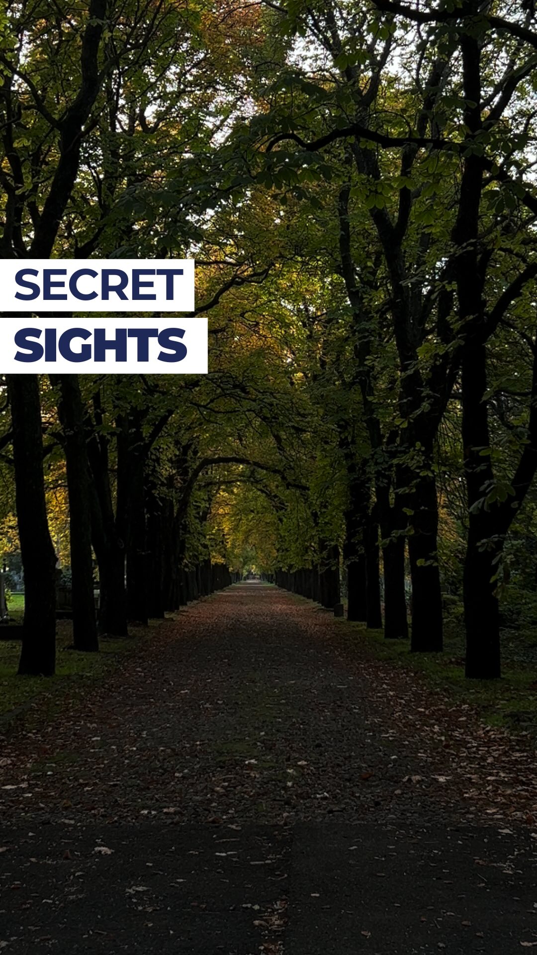 Budapest's Hidden Gems Beyond the Usual Tourist Path
