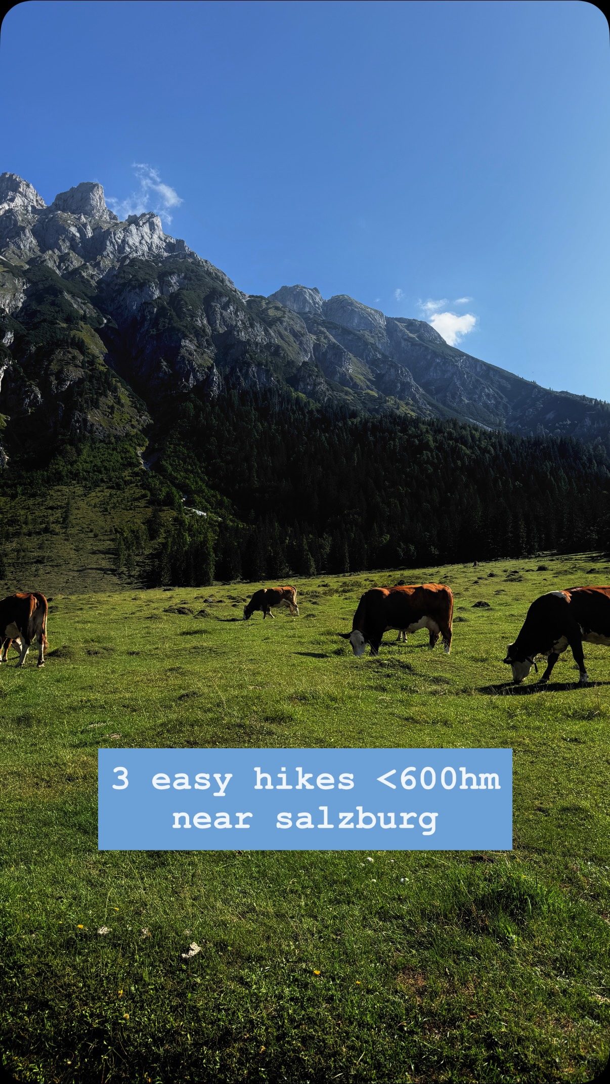 Alpine Hikes Around Nockstein
