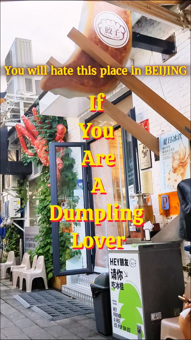 Beijing Art Zone Dumplings Hotspot