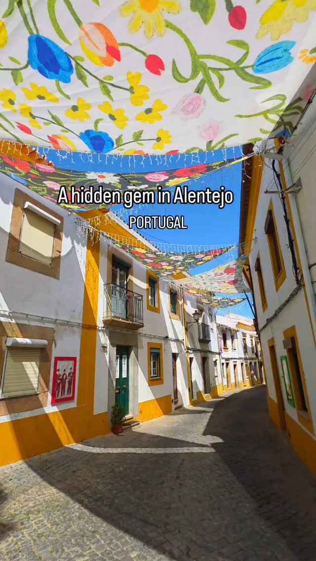 Alentejo Town and Surroundings Offer History and Nature