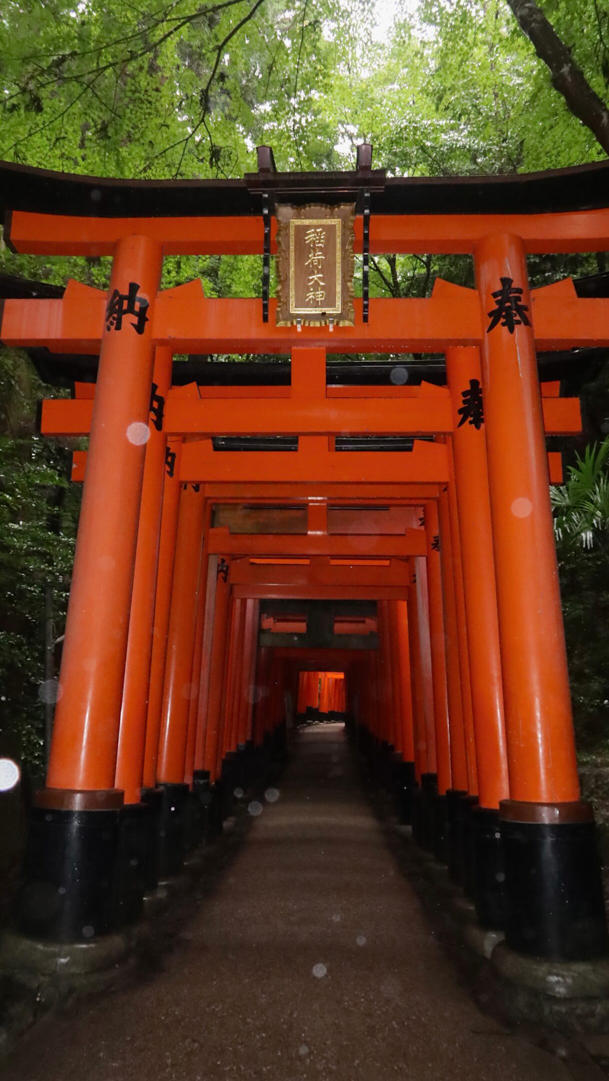 Kyoto Day Five: Temples, Markets, And Culinary Delights