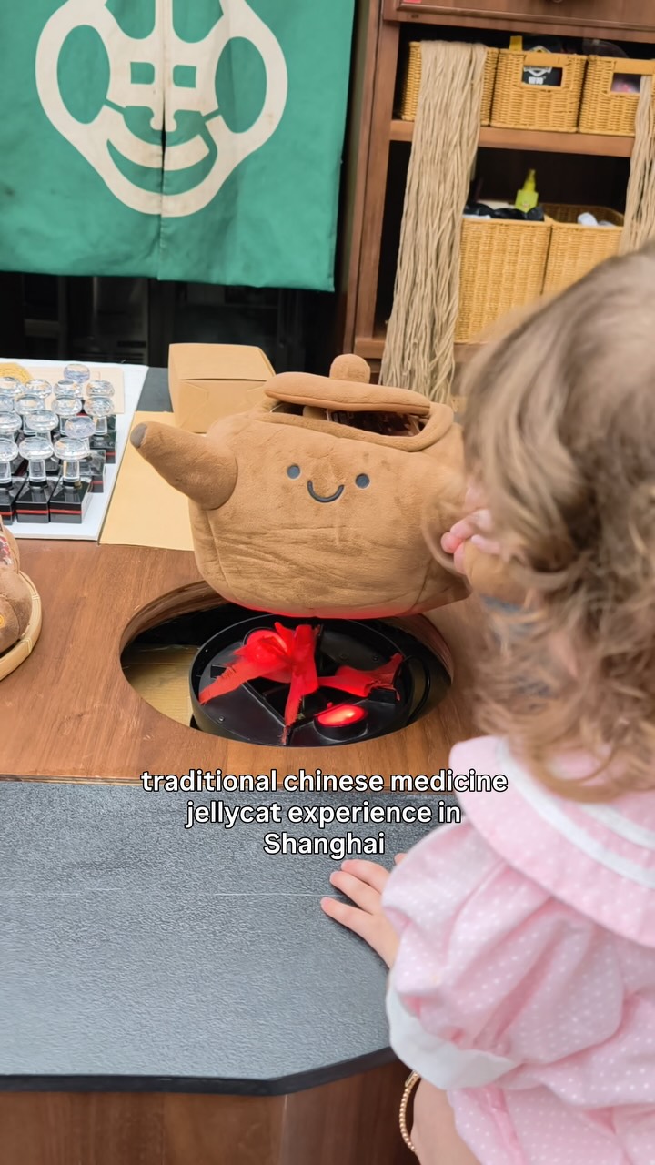 Shanghai Traditional Chinese Medicine Plush Toy Experience