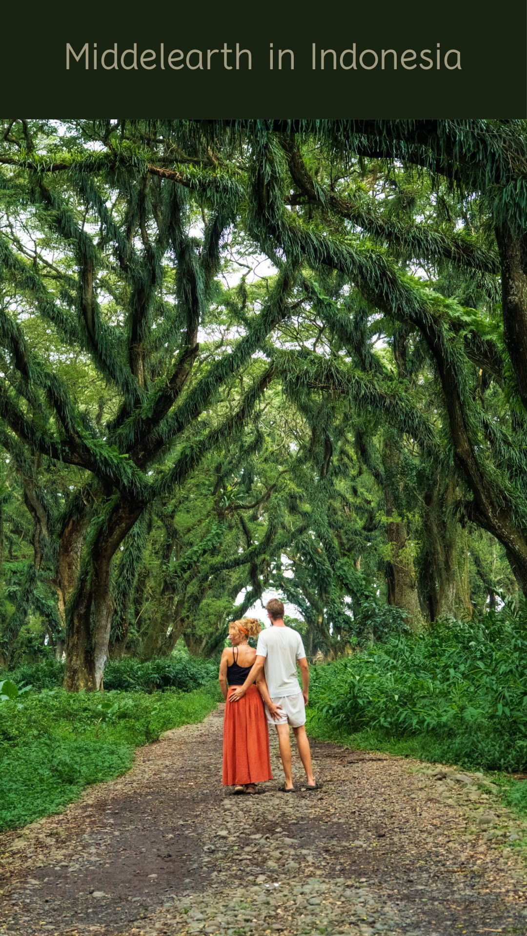 De Djawatan Forest: A Magical Middle-Earth Experience