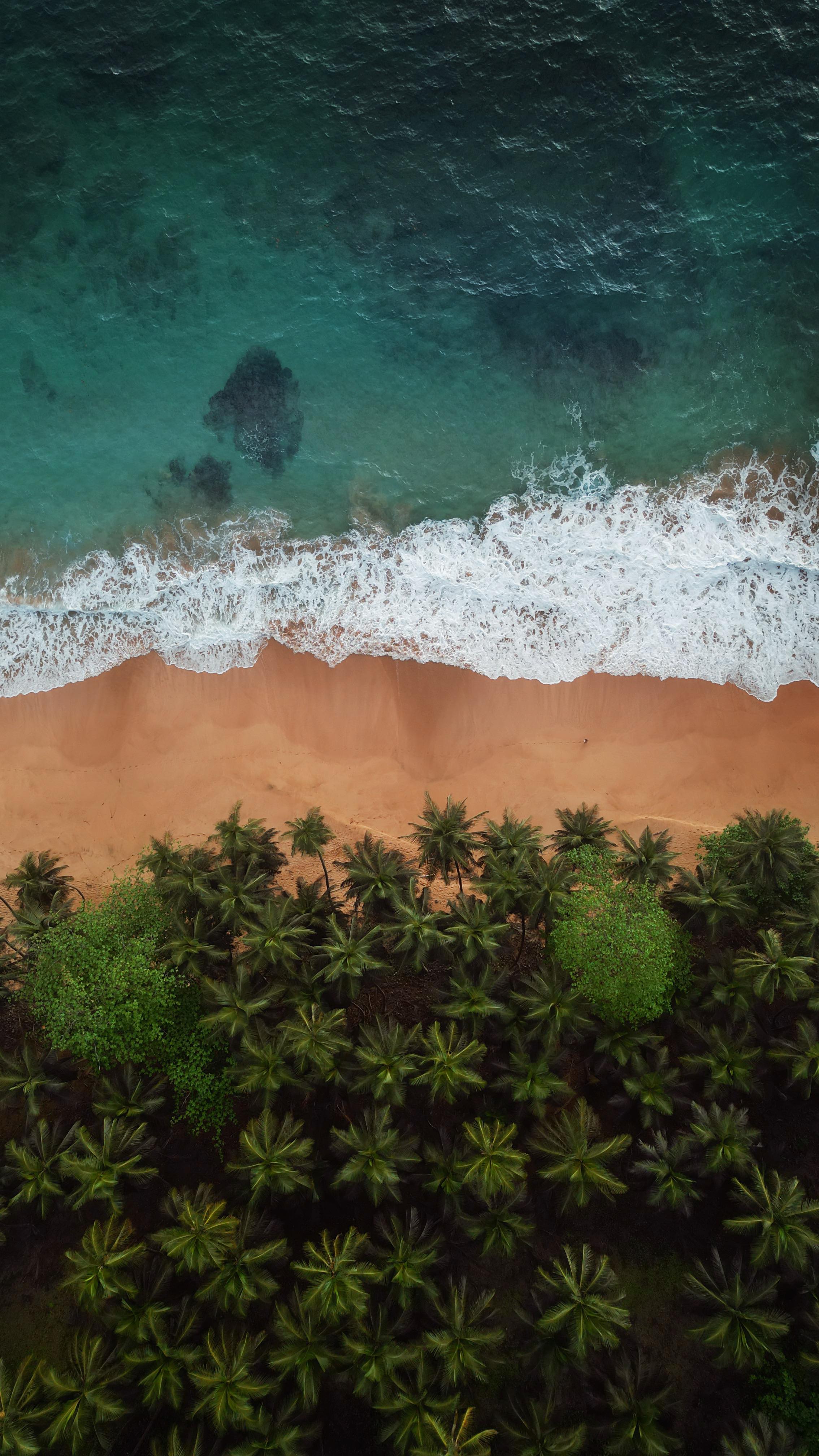 São Tomé and Príncipe's Lush Natural Wonders