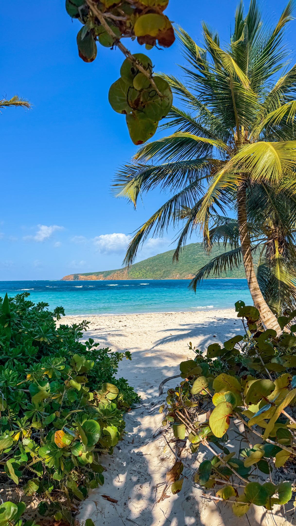 Culebra: A Puerto Rican Paradise for Getaways