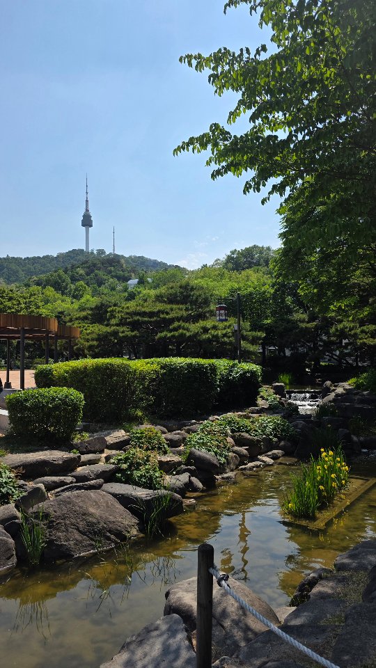 Namsangol: Seoul's Gem for Views, Hanok, and Cafes