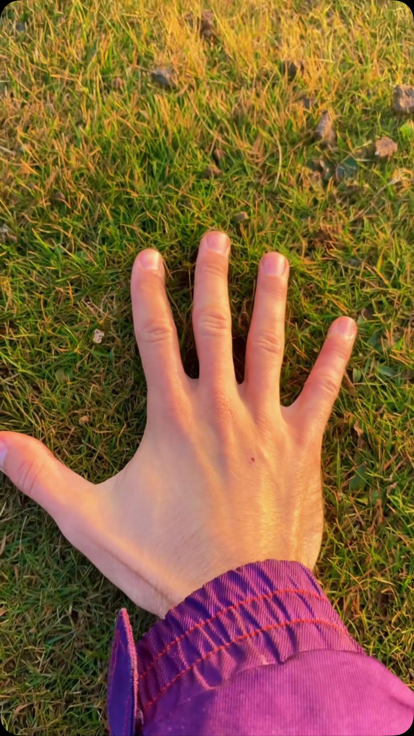 Múlafossur Waterfall's Dramatic Cliffside Waves