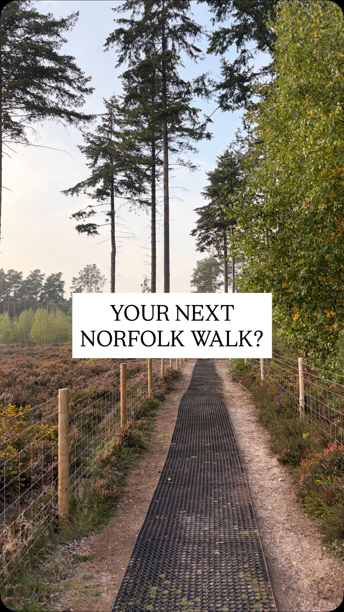 Broadland Country Park: A Norfolk Gem
