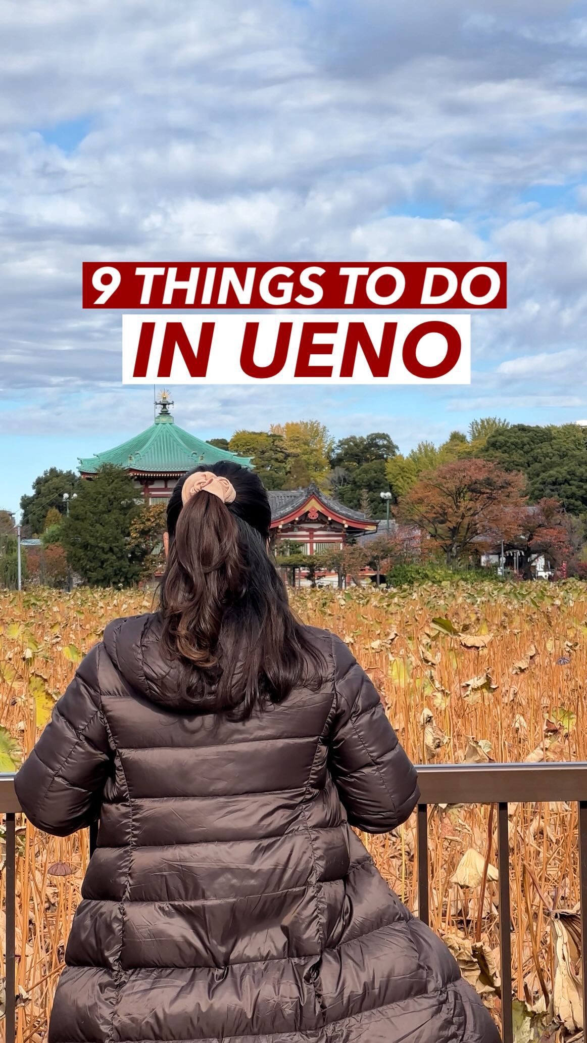 Tokyo's Ueno Park: Culture, Shopping, and Nature