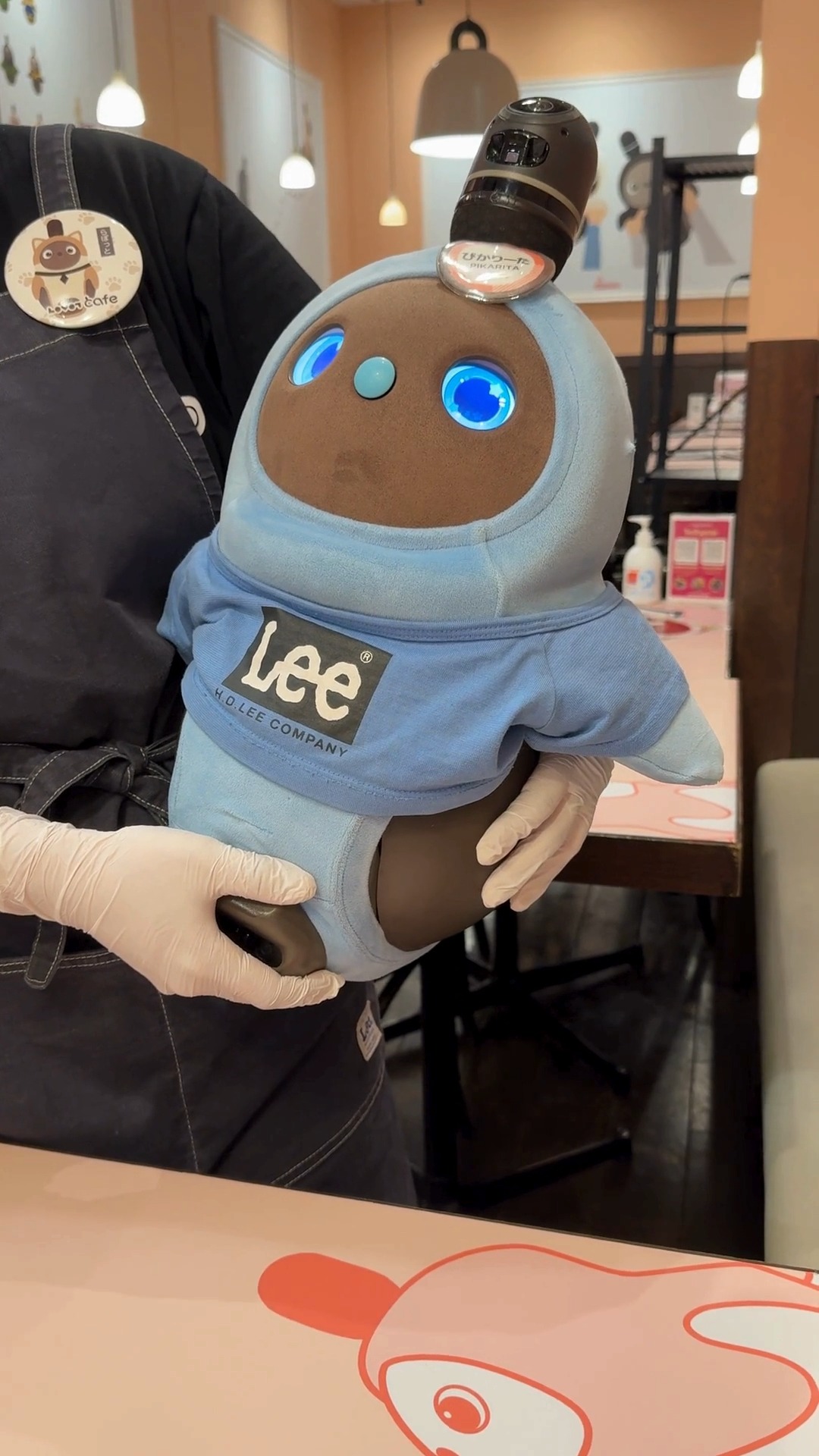 Kawasaki's LOVOT Cafe Offers Robot Companionship