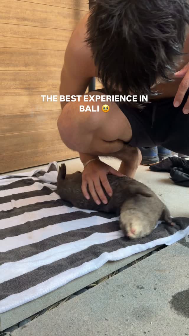 Otter Encounters in Bali