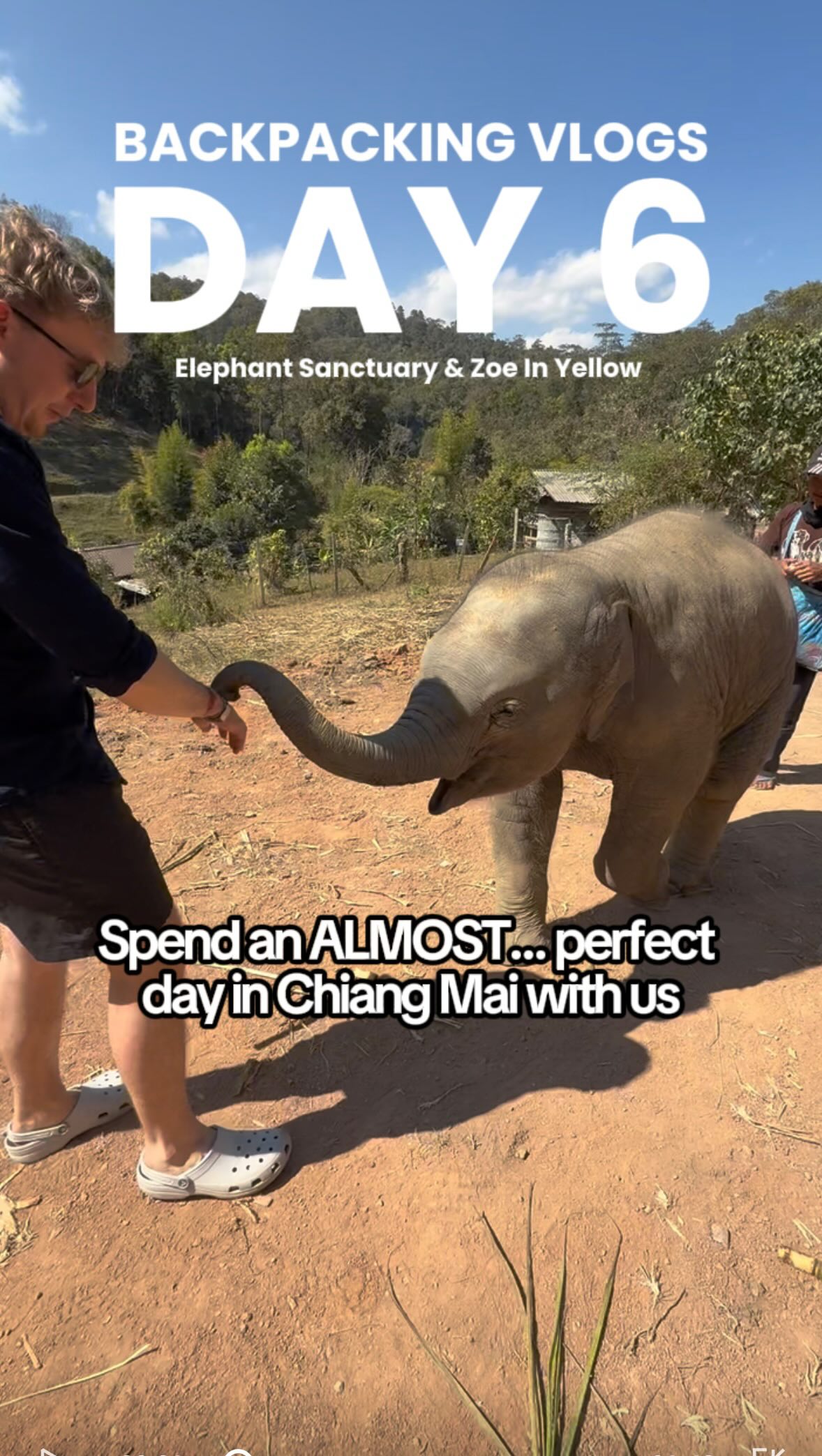 Chiang Mai Adventures: Elephants, Waterfalls, and Nightlife