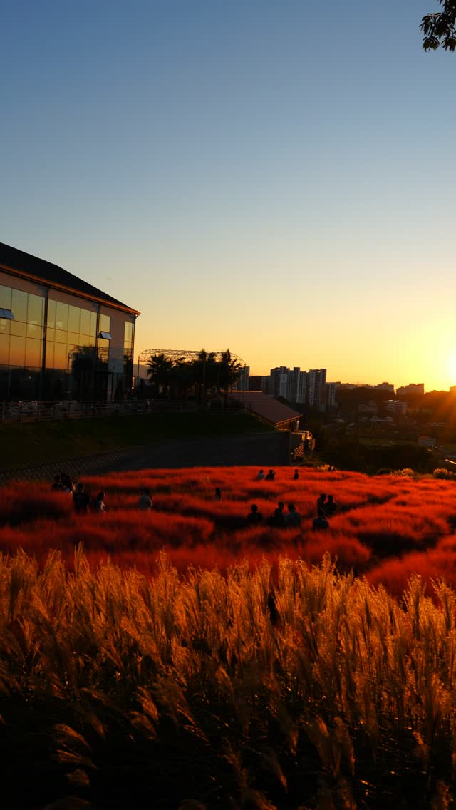 Sunset Views At Pins Coffee With Pink Muhly Grass