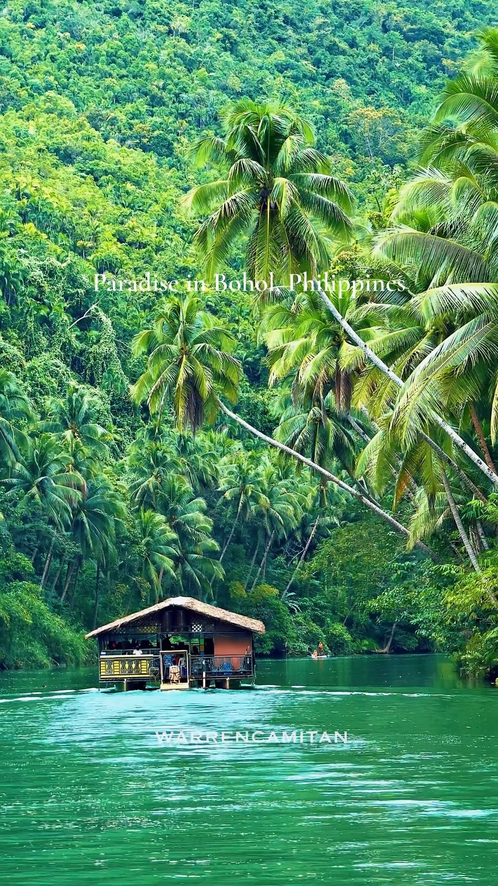 Bohol's Natural Wonders: Rivers, Islands, and Beaches