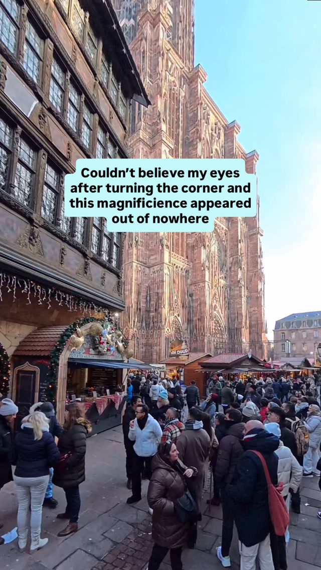 Strasbourg Notre Dame Cathedral: Tallest Medieval Structure