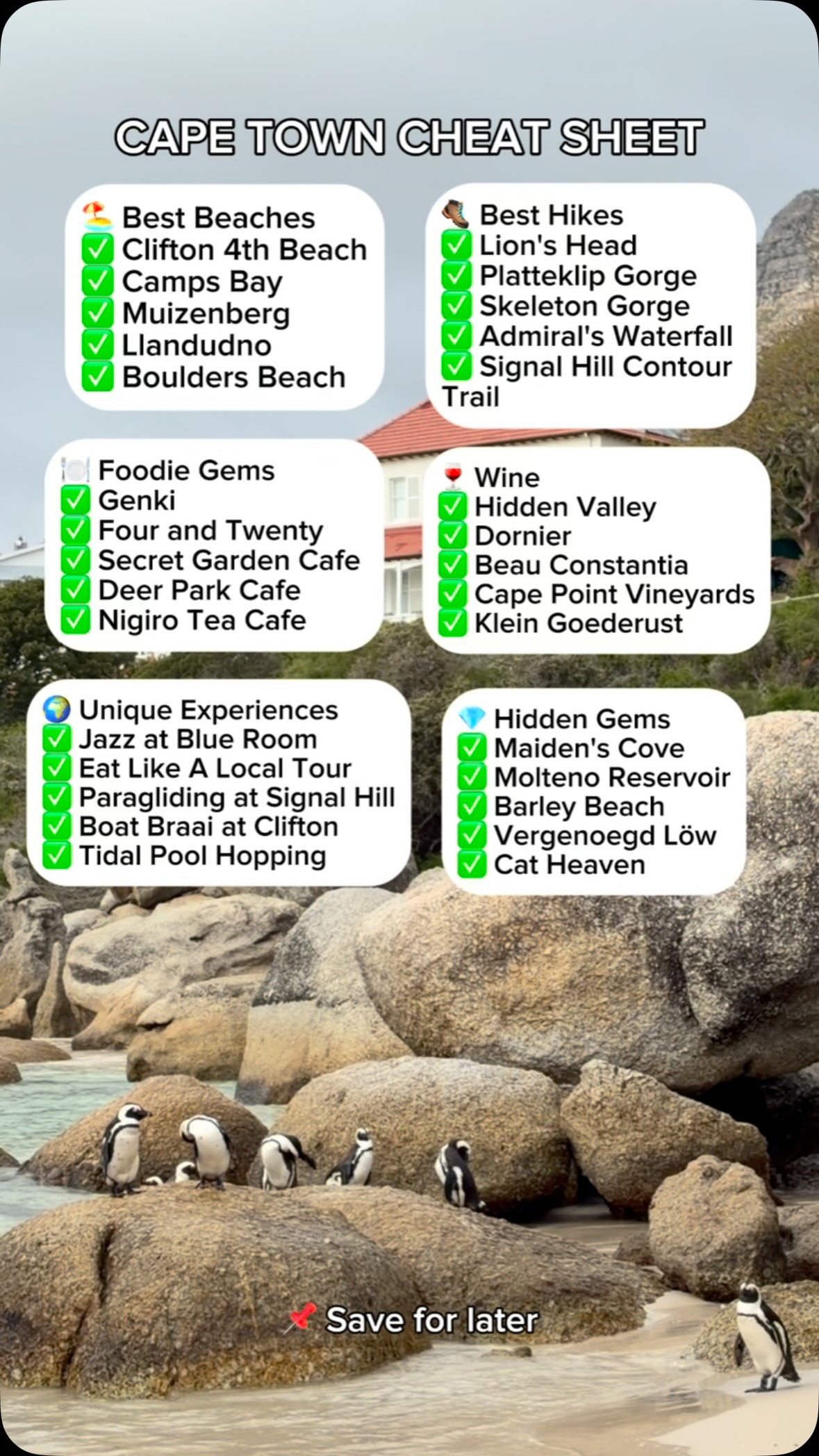 Cape Town's Adventures: Beaches, Wine, and Trails