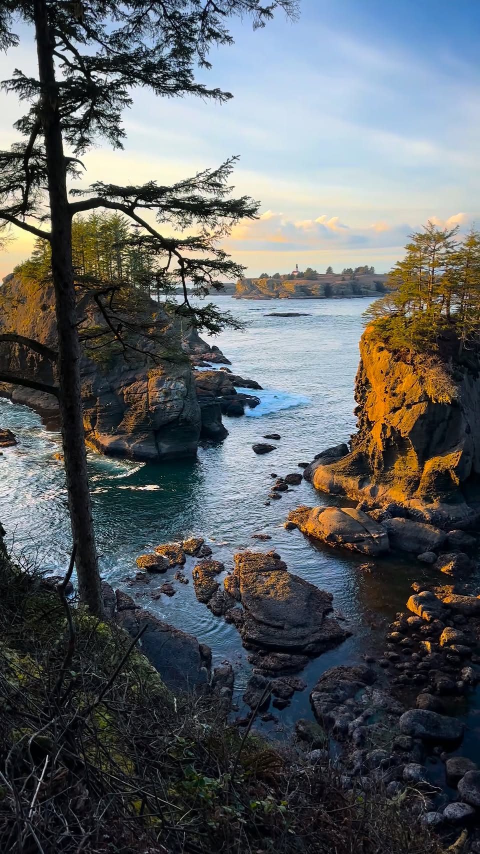 Coastal Washington's National Parks and Beaches