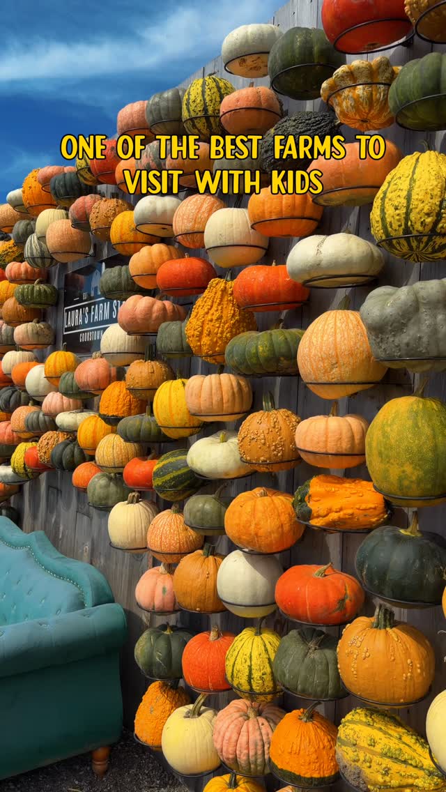 Family-Friendly Farm Fun Near Toronto