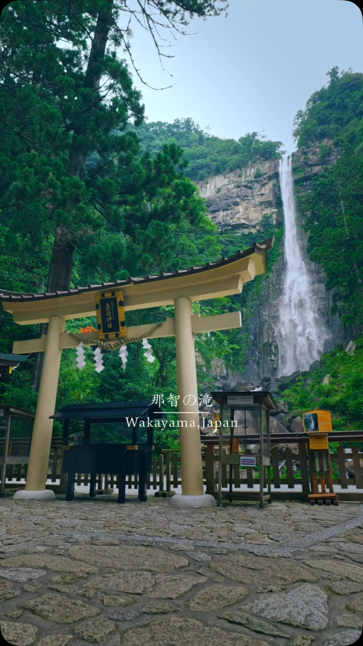 Sacred Waterfall and Shrine Amidst Ancient Woods