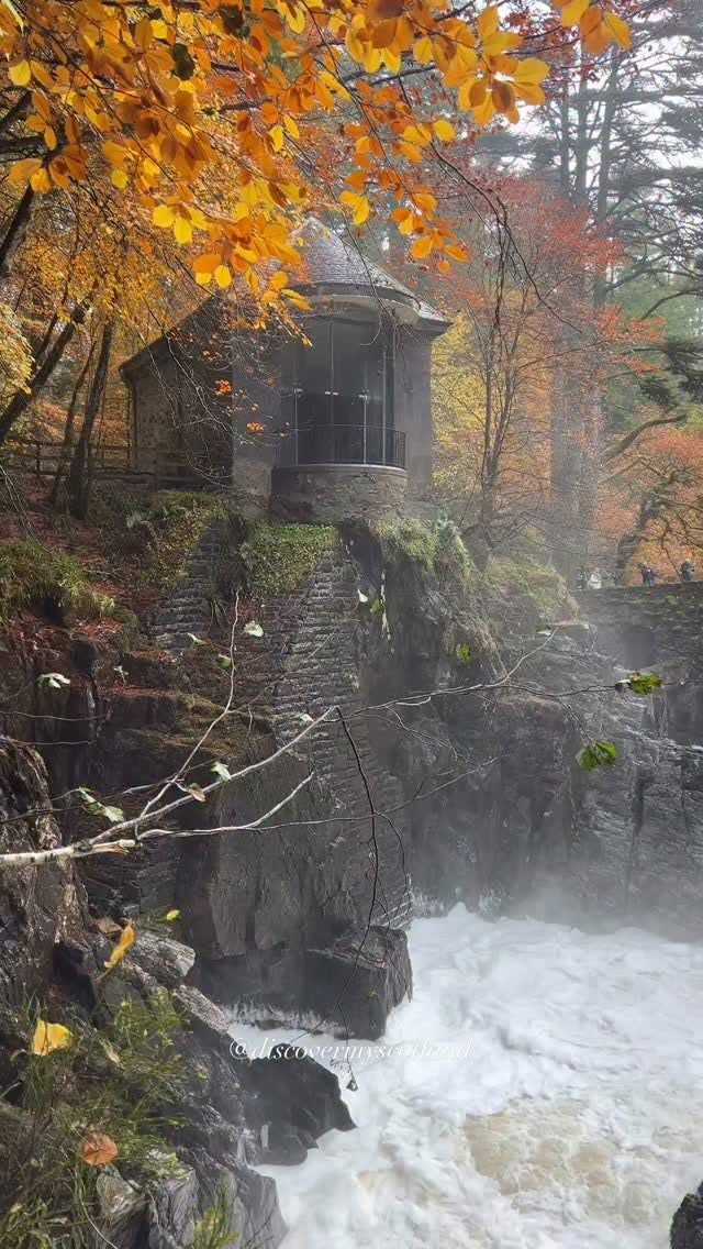 Autumn Beauty At The Hermitage National Trust