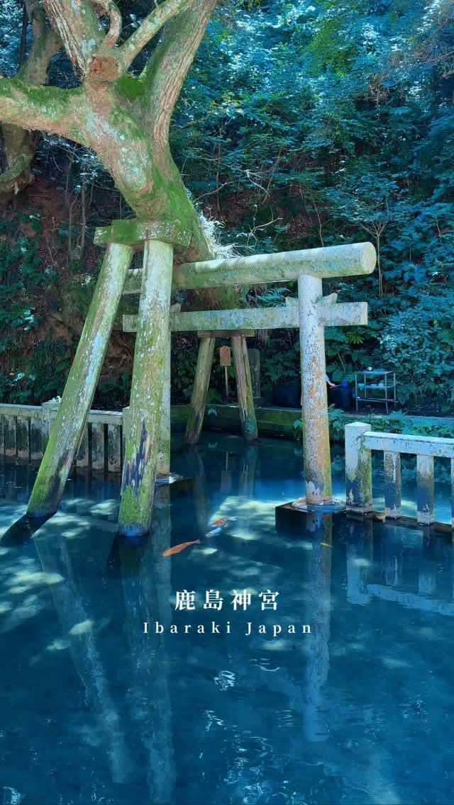 Kashima Jingu Shrine's Natural Spring