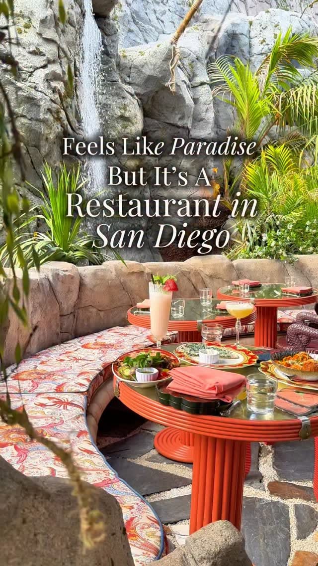 Night Hawk: A Paradise-Like Restaurant Experience