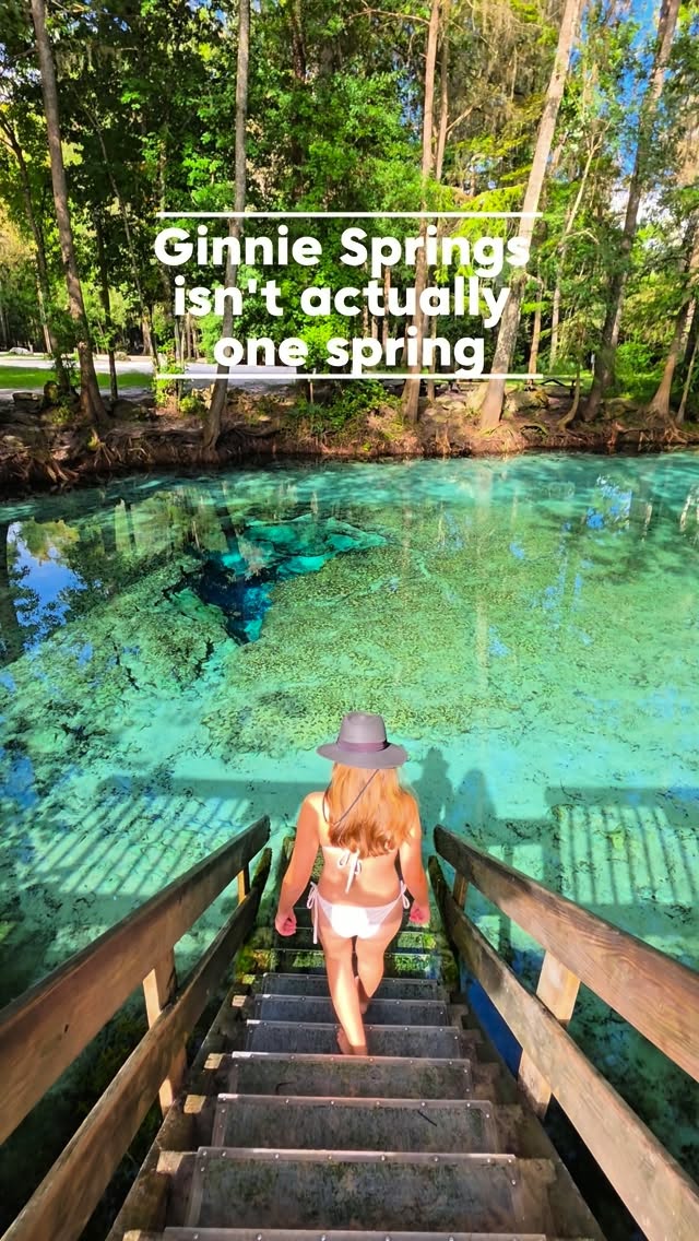 Guide To Ginnie Springs And Other Florida Springs