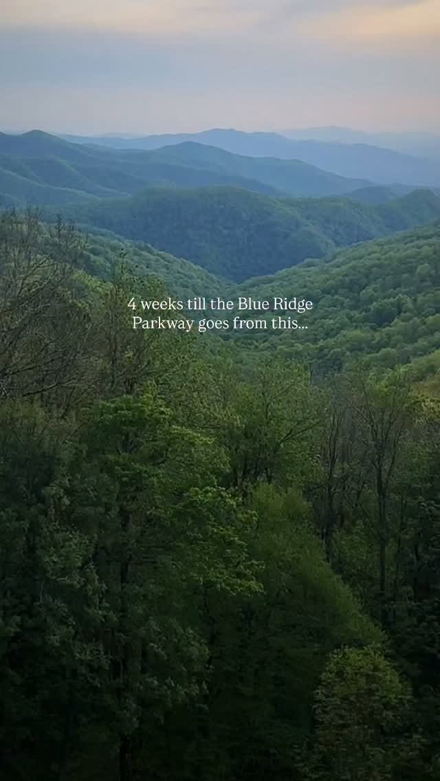 Blue Ridge Parkway Autumn Views & North Carolina Gems