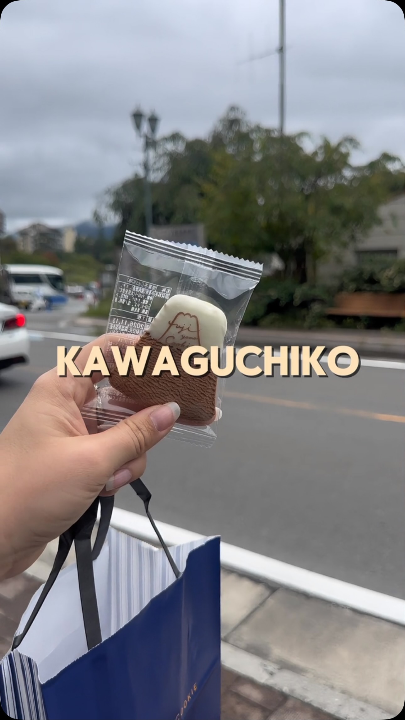Kawaguchiko Dining Destinations