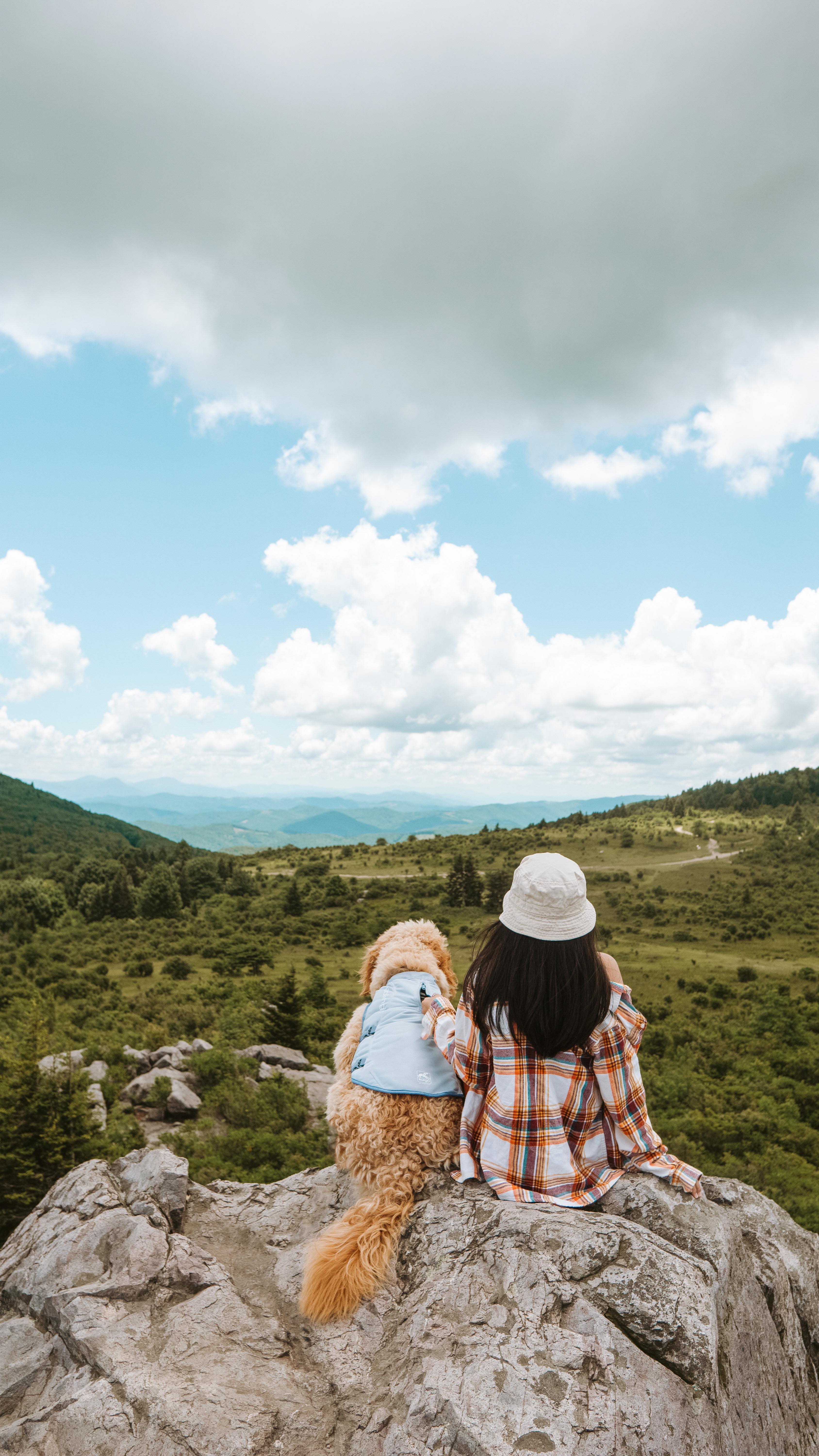 Explore Virginia's President Heads and Observation Towers