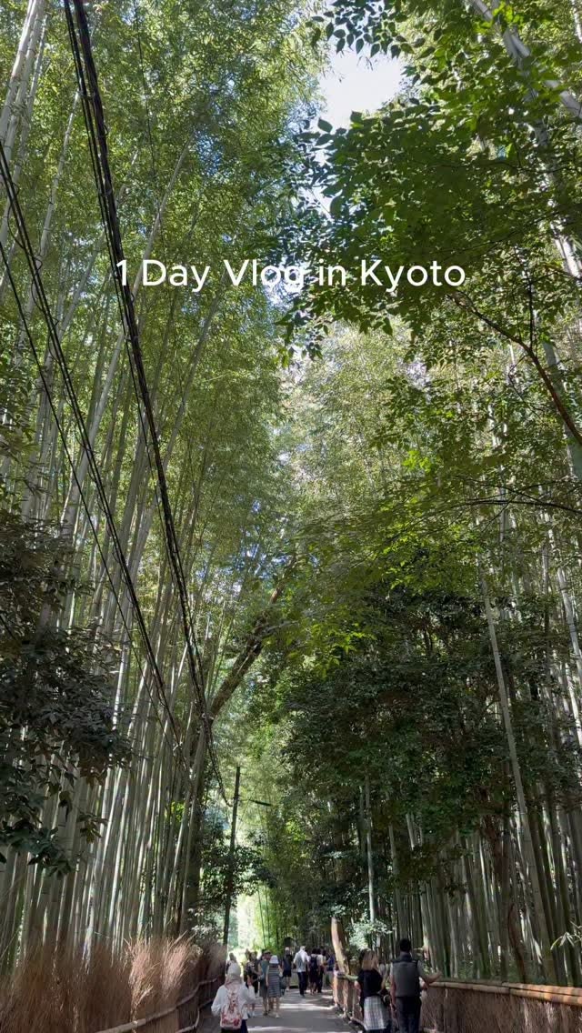 Kyoto's Arashiyama: Bamboo Forest, River Cruise, and More