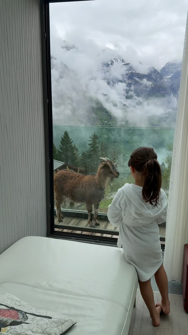 Fairy Tale Hotel Offers Unforgettable Magical Stays