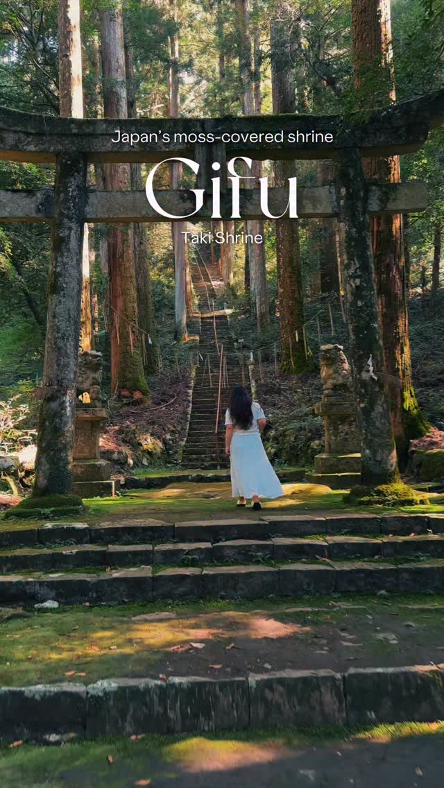 Tranquil Moss-Covered Shrine in Gifu