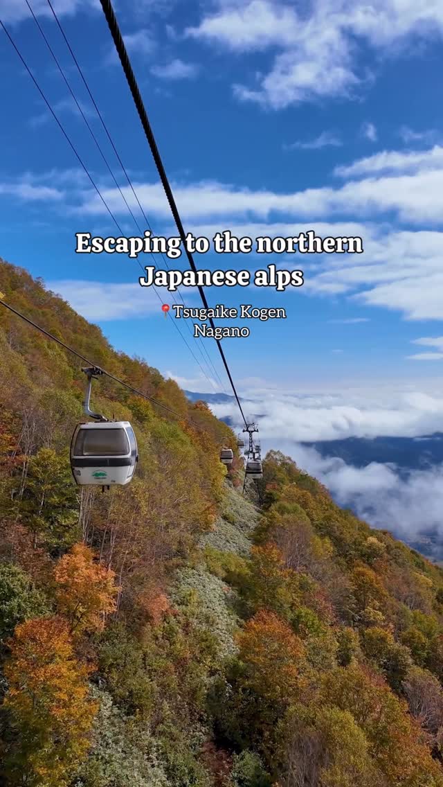 Otari Village Autumn Scenery and Experiences