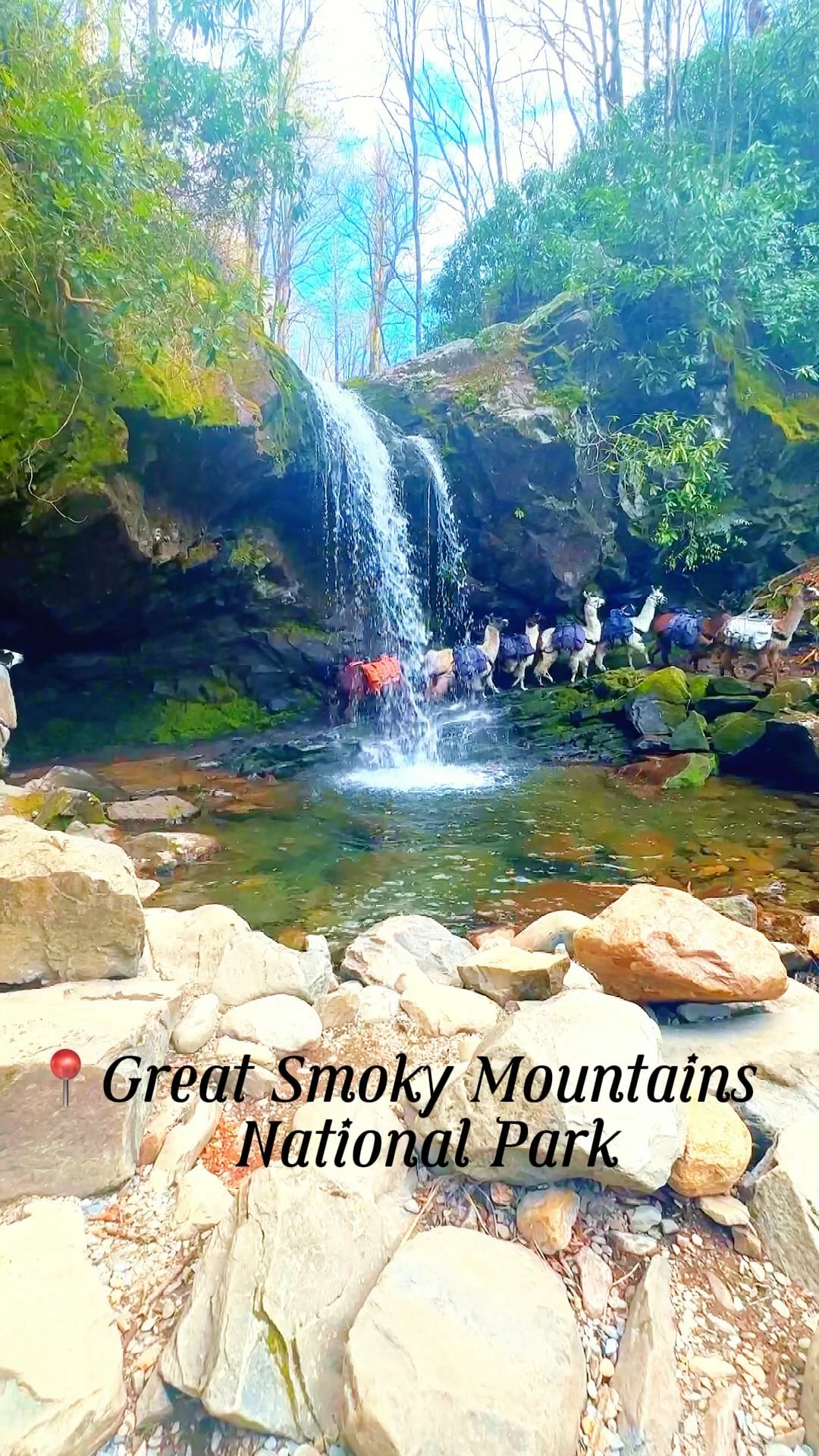 Smoky Mountains National Park's Natural Wonders