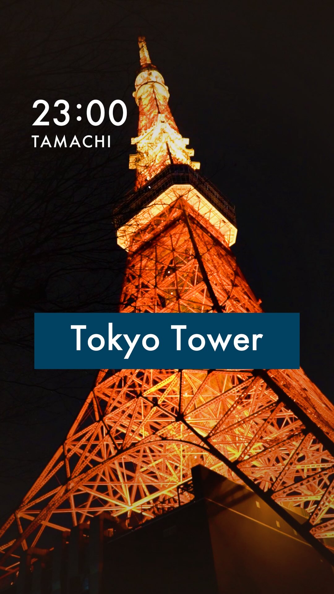 Nighttime Walk Through Tokyo's Iconic Sights