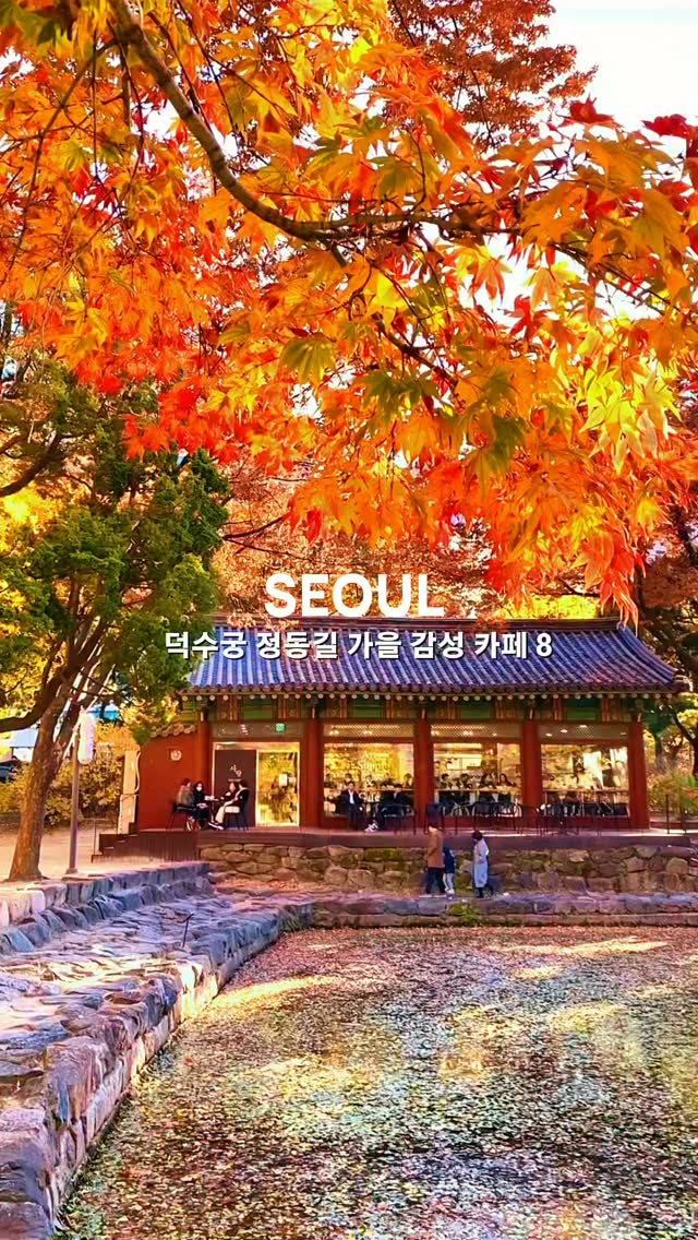 Seoul's Autumn Cafes Near Deoksugung Palace
