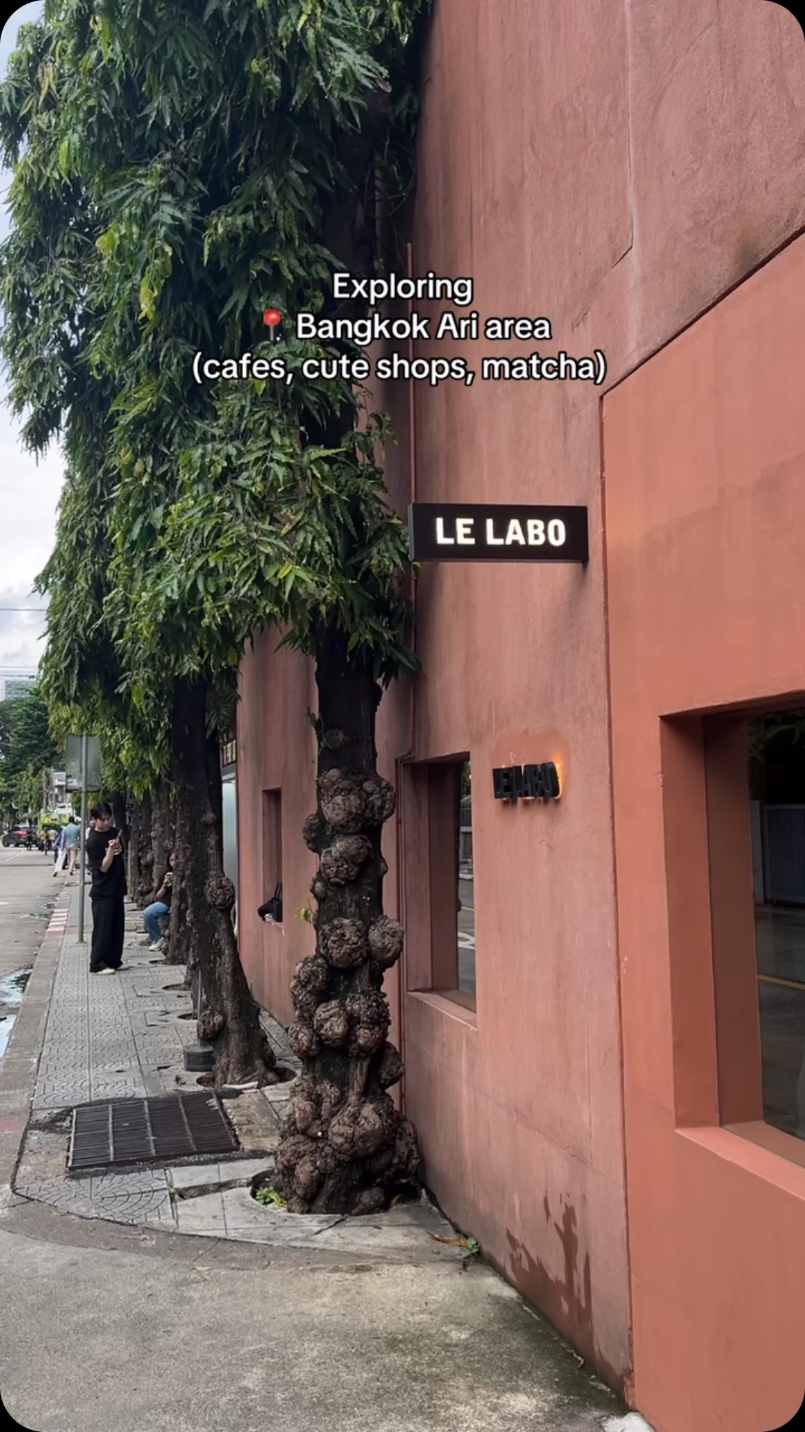 Ari's Chic Cafes and Lifestyle Shops