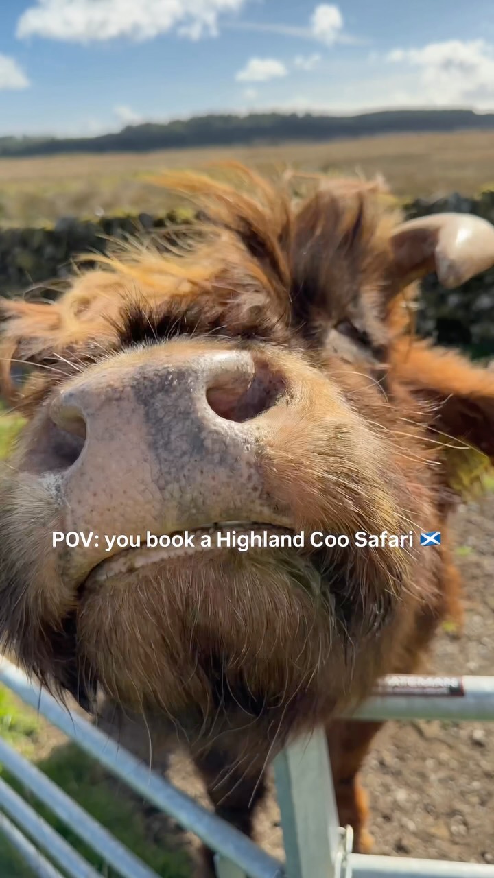 Rothiemurchus: A Highland Gem
