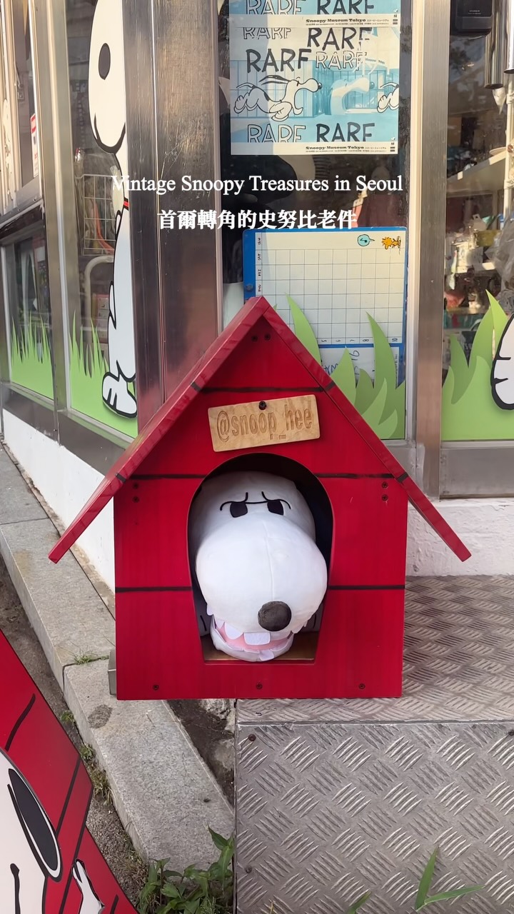 Snoopy Treasure Store in Seoul